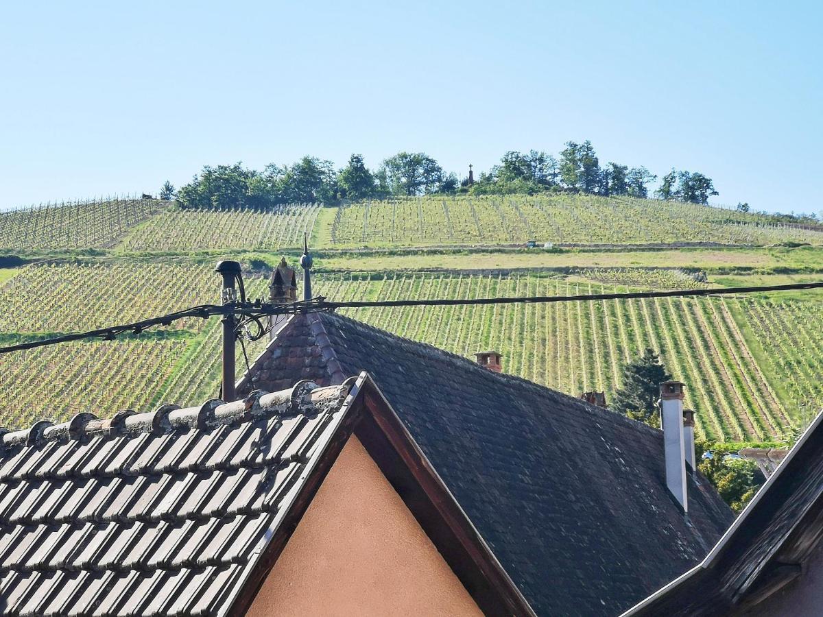 ✪ Le Convivial ✪ Duplex Alsacien ✪ Parking ✪ Rbnb✪ Turckheim Exterior foto